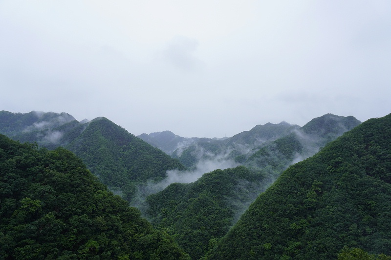 河南雙志團建風景圖